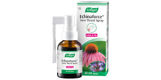 holland & barrett korean ginseng 180 capsules holland & barrett korean ginseng 180 capsules